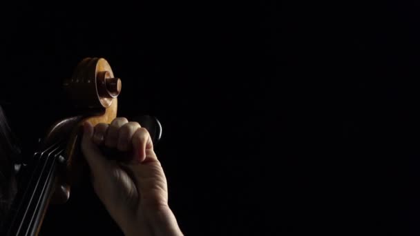 Karanlık Bir Odada Müzisyen Kız Çello Yapılıyor Siyah Arka Plan — Stok video