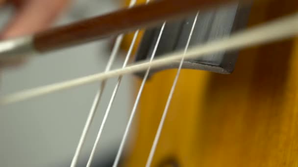 Cello spelen close-up — Stockvideo