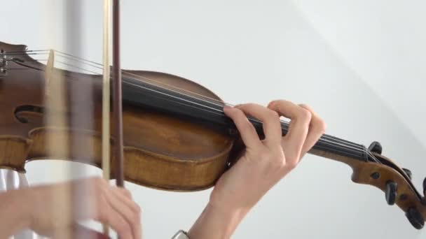 两个女孩指指点点在小提琴上演奏的琴弦。特写 — 图库视频影像
