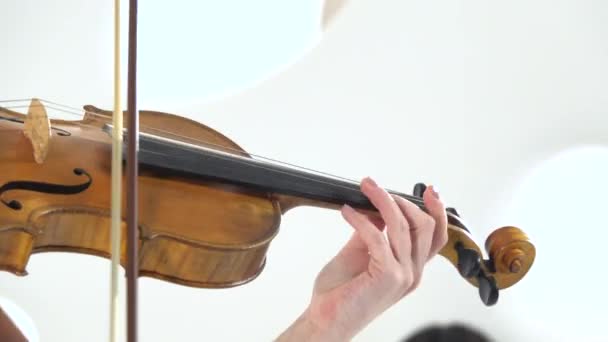 Due ragazze che toccano le corde suonando un violino. Da vicino. — Video Stock