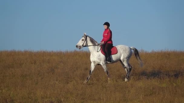 Mujer en un caballo al aire libre en el campo. Movimiento lento — Vídeos de Stock