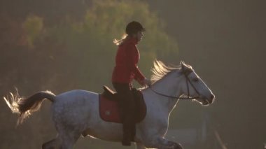 Kadın sporcu bir ata biner atın yan görünüm oturur. Ağır çekim