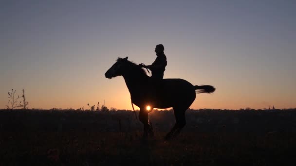 El hombre se sienta en un caballo y le da dos patas. En cámara lenta. Silueta. Vista lateral — Vídeo de stock