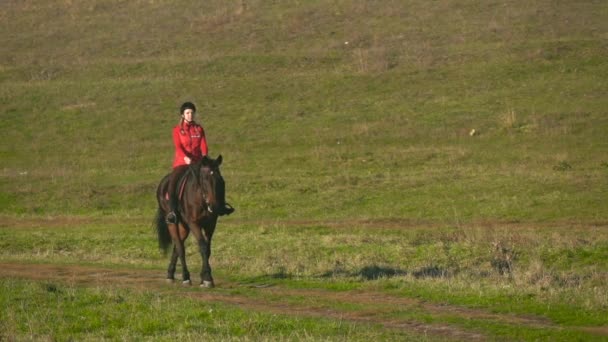 静かな馬のプロのライダーと緑のフィールドの上を歩きます スローモーション — ストック動画