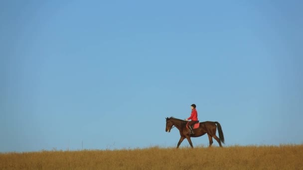 Kvinna på en häst ute i fältet. Slow motion. Sidovy — Stockvideo
