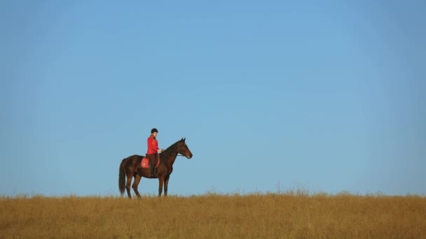 Una chica caminando en el campo a caballo lo acaricia. Movimiento lento — Vídeos de Stock