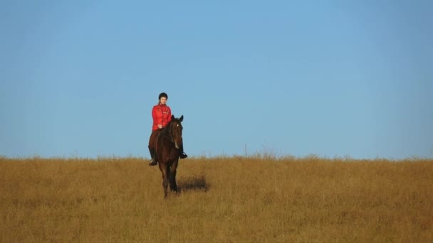 Caballo tranquilamente camina por el campo con una chica en la silla de montar. Movimiento lento — Vídeos de Stock