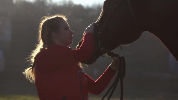 女の子は、茶色の種牡馬、手綱とストロークを保持します。スローモーション — ストック動画