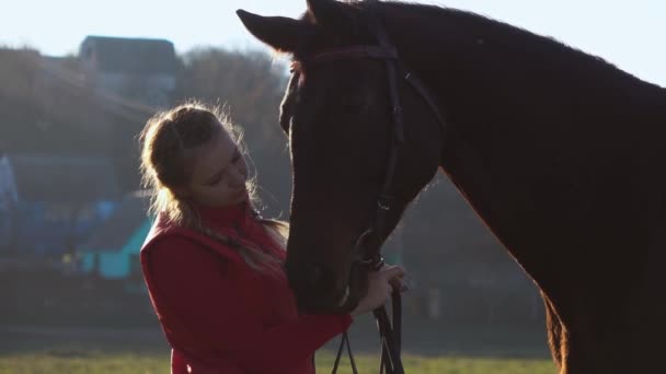 Horsewoman Κρατά Ηνία Και Εγκεφαλικά Επεισόδια Του Καφέ Επιβήτορα Που — Αρχείο Βίντεο