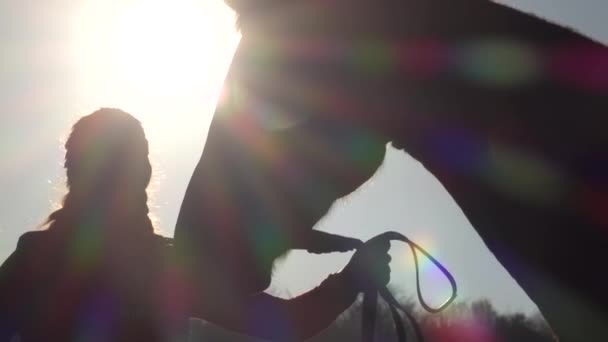 Γυναίκα στέκεται στο Λιβάδι και χαϊδεύοντας το άλογο, ένα όμορφο ηλιοβασίλεμα. Σιλουέτα. Αργή κίνηση. Πλαϊνή όψη. Κοντινό πλάνο — Αρχείο Βίντεο