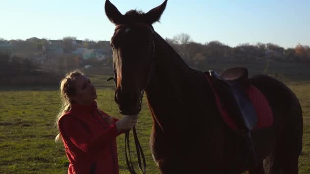 女曲馬師は、茶色の種牡馬、手綱とストロークを保持します。スローモーション — ストック動画