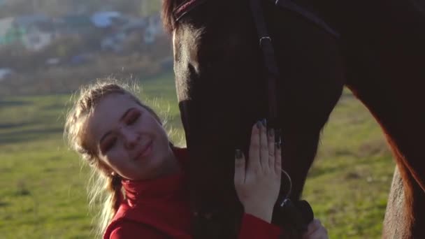 Playful stallion muzzle touches the face of the rider. Slow motion. Close up — Stock Video