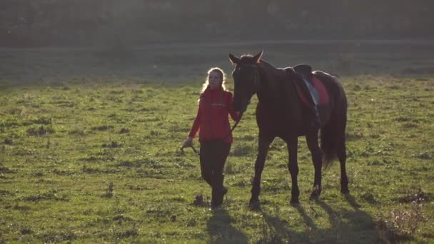 Fille marche à travers la prairie avec un étalon brun. Mouvement lent — Video