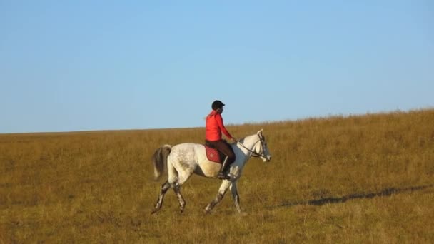 Mädchen, das auf einem Pferd über das Feld galoppiert. Zeitlupe — Stockvideo