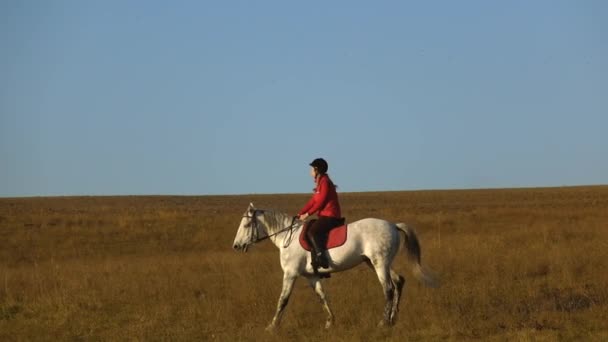 Meisje rider begeleidt een paard ze schudt zijn hoofd en wag van zijn staart. Slow motion — Stockvideo