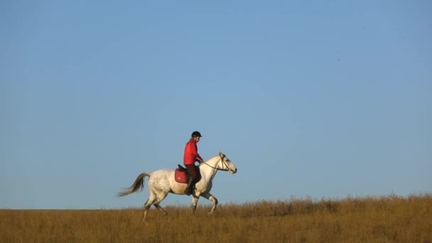 Flicka som rider en häst som galopperar över fältet. Slow motion — Stockvideo