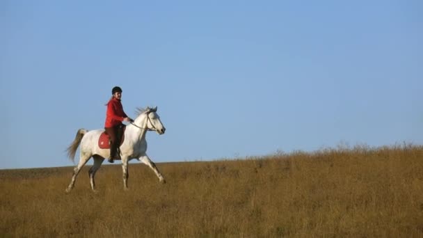 フィールドを越えて疾走白い馬に乗ってヘルメットで女曲馬師 スローモーション — ストック動画