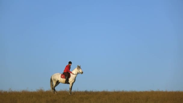 Reiterin, die auf einem Pferd reitet, streichelt und umarmt eine auf dem Feld. Zeitlupe. Seitenansicht — Stockvideo