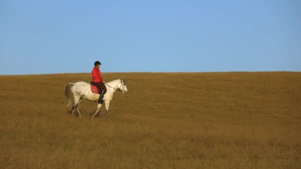 La mujer se sienta en una vista lateral del caballo que un atleta monta en un caballo. Movimiento lento — Vídeos de Stock