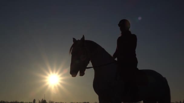 Mujer en un caballo al aire libre jinete femenino está en un caballo en el campo. Silueta. Movimiento lento — Vídeo de stock