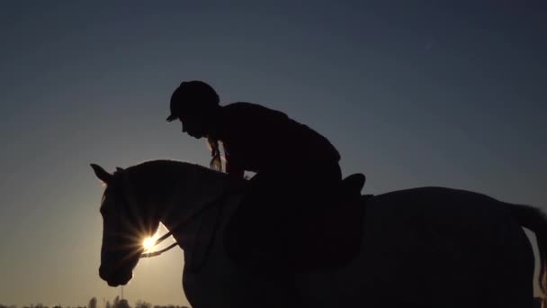 Reiterin küsst ein Pferd bei Sonnenuntergang. Zeitlupe — Stockvideo