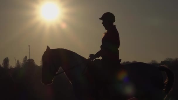 Sylwetka jeździec na koniu w zachód słońca. Zwolnionym tempie. Widok z boku — Wideo stockowe