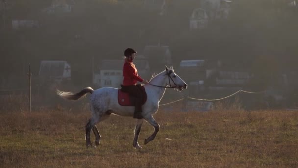 Monter à cheval à travers un champ autour d'un secteur résidentiel avec des maisons. Mouvement lent — Video