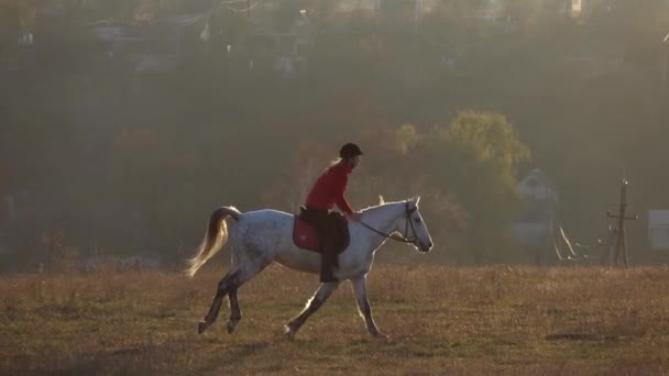 Жінка на коні на відкритому повітрі в полі. Повільний рух — стокове відео