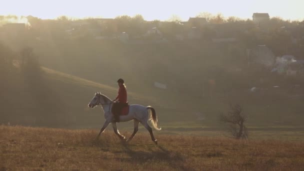 Flicka rider guidar en häst som hon skakar på huvudet och vifta på svansen. Slow motion — Stockvideo