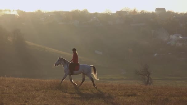 Une cavalière guide un cheval elle secoue la tête et remue la queue. Mouvement lent — Video