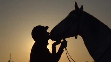 Kadın binici öper ve atını gün batımında vuruş. Siluet. Ağır çekim. Yan görünümü. Yakın çekim