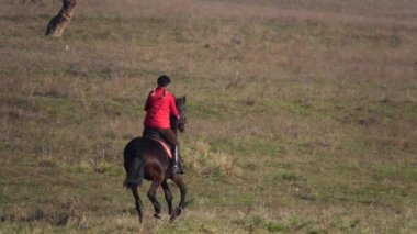 Binici at sırtında yeşil bir alanda dört nala gidiyorum. Arkadan görünüm. Ağır çekim