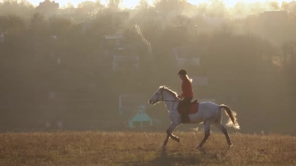 Jockey montado em puro-sangue garanhão branco. Movimento lento — Vídeo de Stock