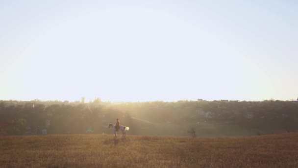 フィールドの真ん中に馬に乗って風景の背景の女の子。スローモーション。横から見た図 — ストック動画