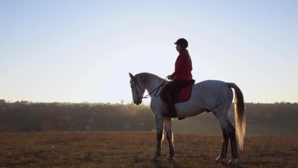 Cavaleira no fundo de uma paisagem a cavalo no meio do campo. Movimento lento. Vista lateral — Vídeo de Stock