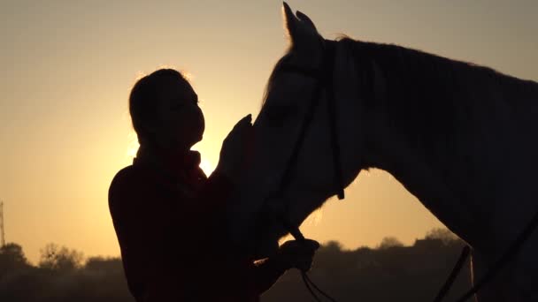 Chica acariciando el caballo una puesta de sol. Silueta. En cámara lenta. Vista lateral. De cerca. — Vídeo de stock