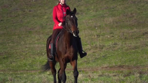 Chica en un semental marrón galopando a través del campo. Movimiento lento — Vídeo de stock