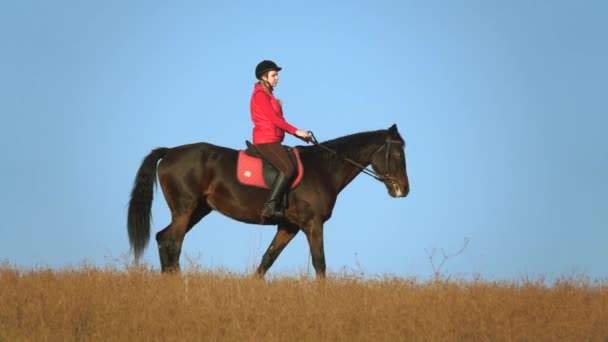 Chica montando un caballo acaricia un caballo de pie en el campo. En cámara lenta. Vista lateral — Vídeos de Stock