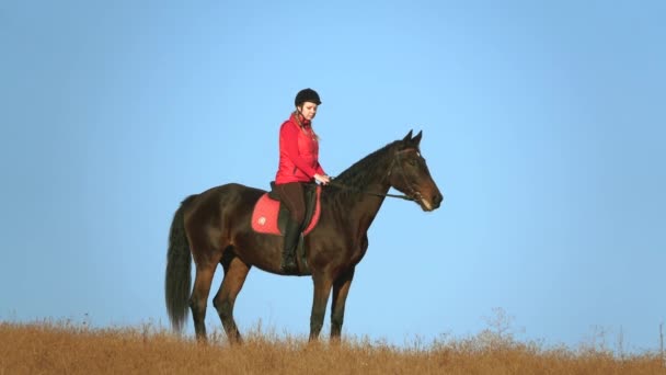 Mujer en un caballo al aire libre en el campo. En cámara lenta. Vista lateral — Vídeos de Stock