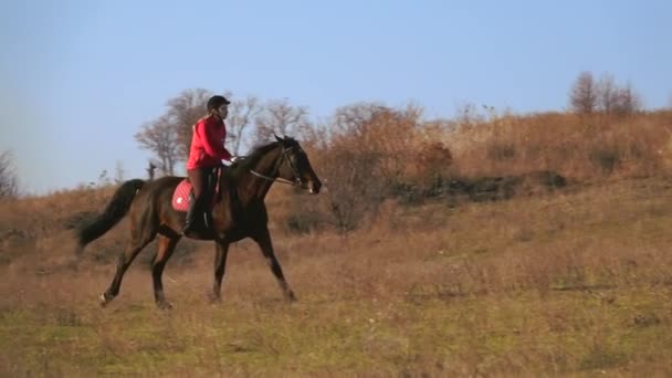 Mädchen auf einem Pferd galoppiert auf einer Wiese. Zeitlupe — Stockvideo