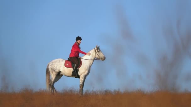 Mujer montando un caballo trazos y abrazos a en el campo. En cámara lenta. Vista lateral — Vídeos de Stock