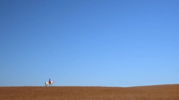 Bir Binme Binici Kadın Mavi Gökyüzü Alanında Bir Beyaz Atın — Stok video