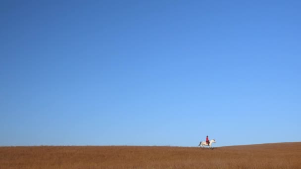 Una ragazza che cavalca un cavallo accarezza un cavallo bianco in piedi in un campo. Al rallentatore. Vista laterale — Video Stock