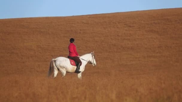 Mujer montando un caballo trazos y abrazos a en el campo. En cámara lenta. Vista lateral — Vídeos de Stock