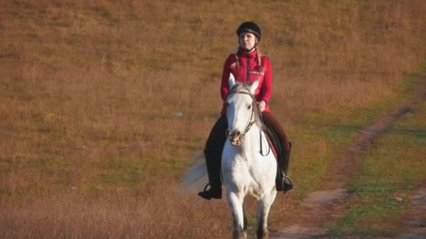 Menina montando um cavalo andando no prado. Movimento lento — Vídeo de Stock