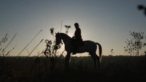 Silueta ženy, jízda na koni v pozadí západu slunce. Zpomalený pohyb. Boční pohled — Stock video