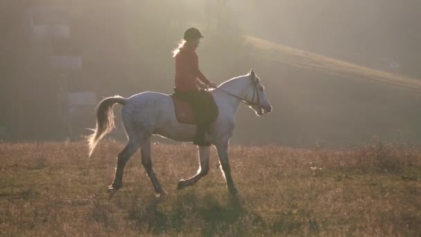 Reiten auf einem Pferd über ein Feld rund um einen Wohnsektor mit Häusern. Zeitlupe — Stockvideo