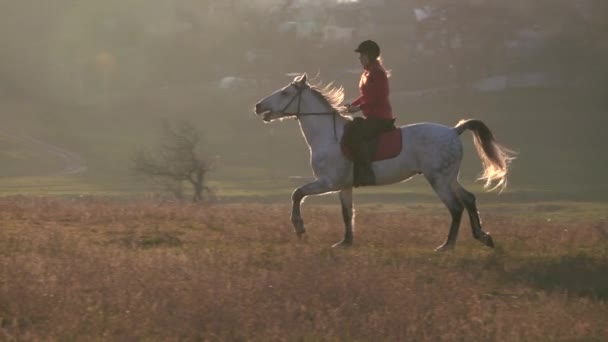 Privata sektorn med hus och ryttare som rider en häst. Slow motion — Stockvideo