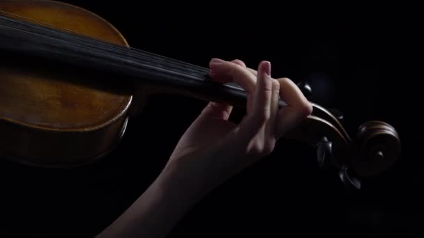 Girl fingering the strings playing on a violin. Close up. Black background — Stock Video