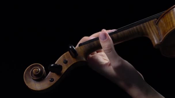 Geiger spielt eine Komposition auf einer Geige. schwarzer Hintergrund. Nahaufnahme — Stockvideo